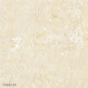 Gạch lát sàn Trường Thịnh MIXSTONE C96813P